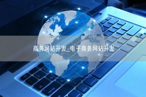 商务网站开发_电子商务网站开发