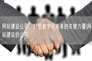 网站建设公司，打造数字化未来的关键力量|网站建设的公司
