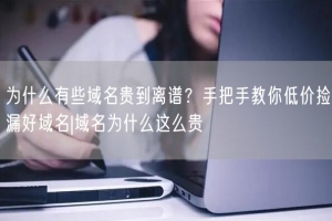 为什么有些域名贵到离谱？手把手教你低价捡漏好域名|域名为什么这么贵