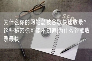 为什么你的网站总被谷歌快速收录？这些秘密你可能不知道|为什么谷歌收录最快